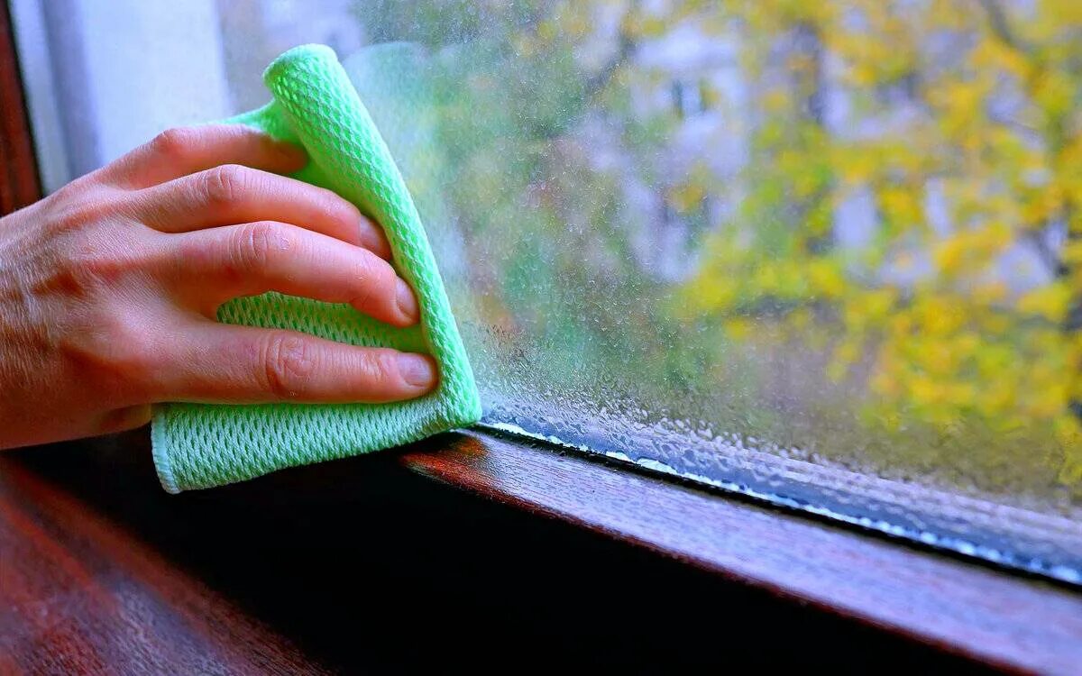 Конденсат на окнах. Влага на окнах. Конденсация на окнах. Запотевшие пластиковые окна. Запотевают пластиковые окна.