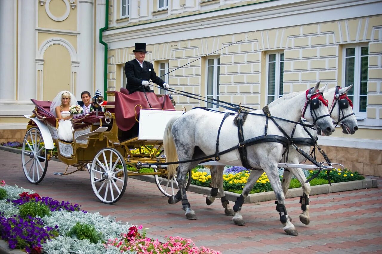 Открой экипаж. Дания велосипеды король и королева. Открытый экипаж. Открой экипаж. Открой экипаж.