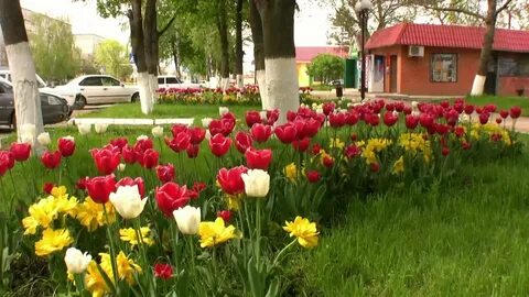 Апрель мостовской