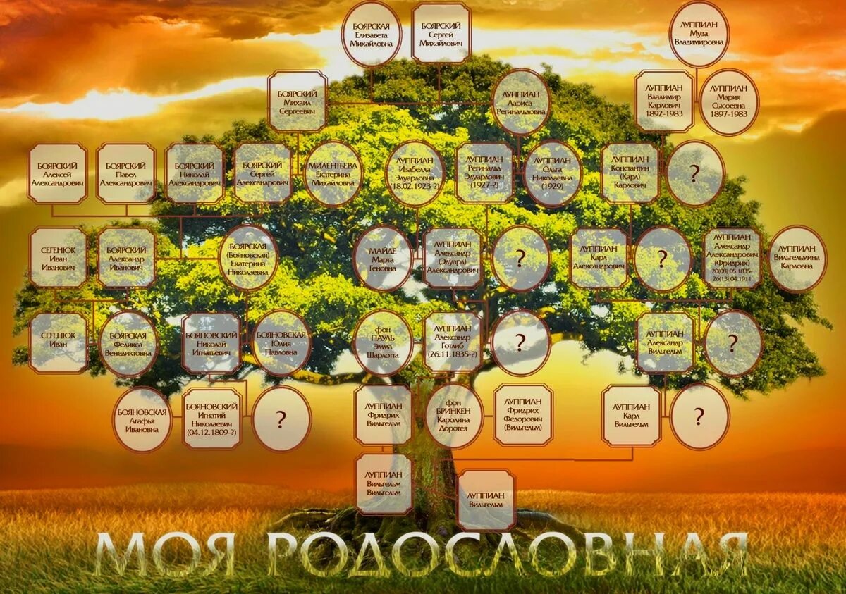 Найти свое древо. Генеалогическое дерево. Генетическое дерево. Генеалогическое Древо семьи. Родословная дерево.