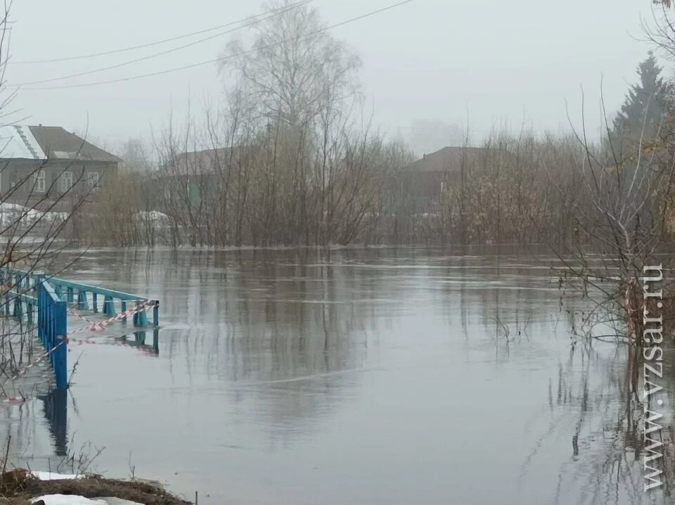 Медведица вышла из берегов