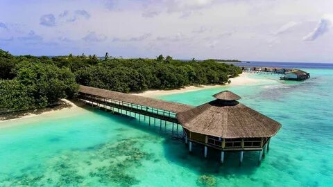 Reethi beach отзывы