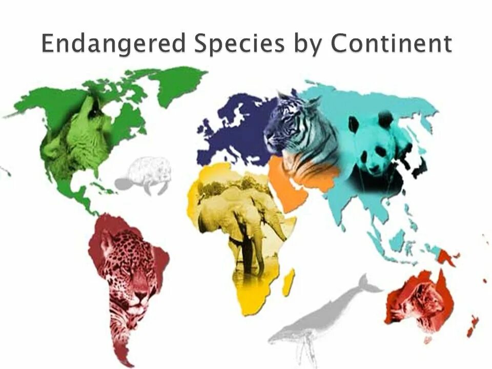 Release reduce adopt reusable endangered species. Фон география животные. Зоология лого. Endangered картинка для детей. Зоологический фон.