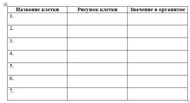 Картинки СТРОЕНИЕ ТКАНИ 6 КЛАСС БИОЛОГИЯ ТАБЛИЦА