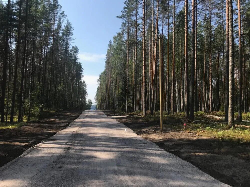 Погода в цвелодубово выборгского. Цвелодубово Ленинградская область. Пос Цвелодубово Выборгского района Ленинградской области. Цвелодубово Ленинградская. Цвелодубово достопримечательности.