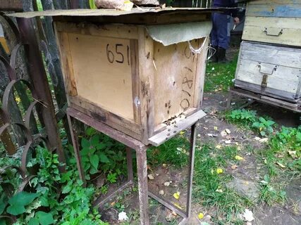 Убрать пчел