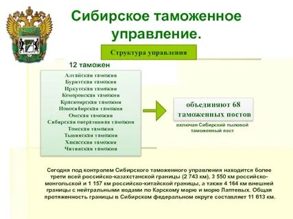 Таможенное управление какие есть