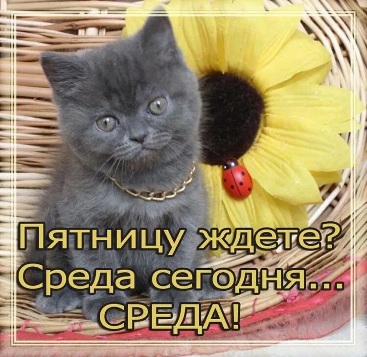 Всех ждем в отличном настроении