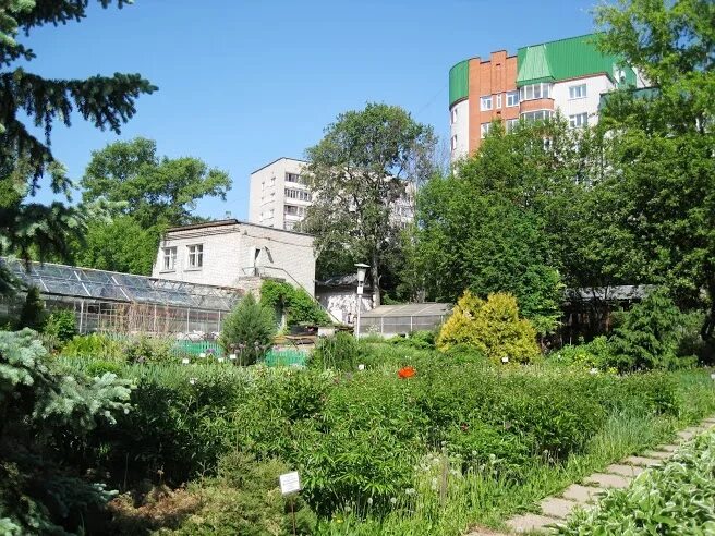 Ботсад киров. Экскурсия в ботаническом саду киров. Сад кировский сайт. Ботанический сад вятгу киров. Сад кировский сайт.