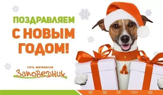 Как работает зоомагазин в праздники. Как работает зоомагазин в праздники. Продавец зоотоваров. Человек в зоомагазине. Зоомагазин на проспекте королева.