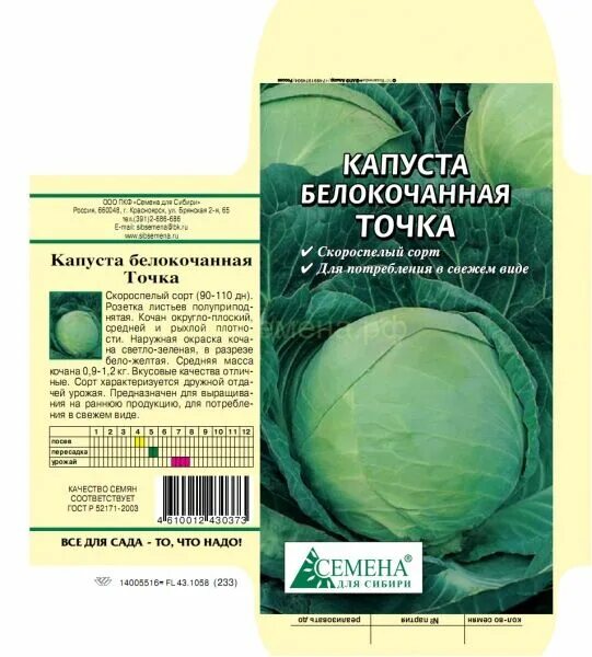 Капуста Глория F1: характеристика и описание гибридного сорта с фото