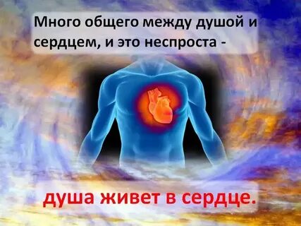 Сердце и душа книги