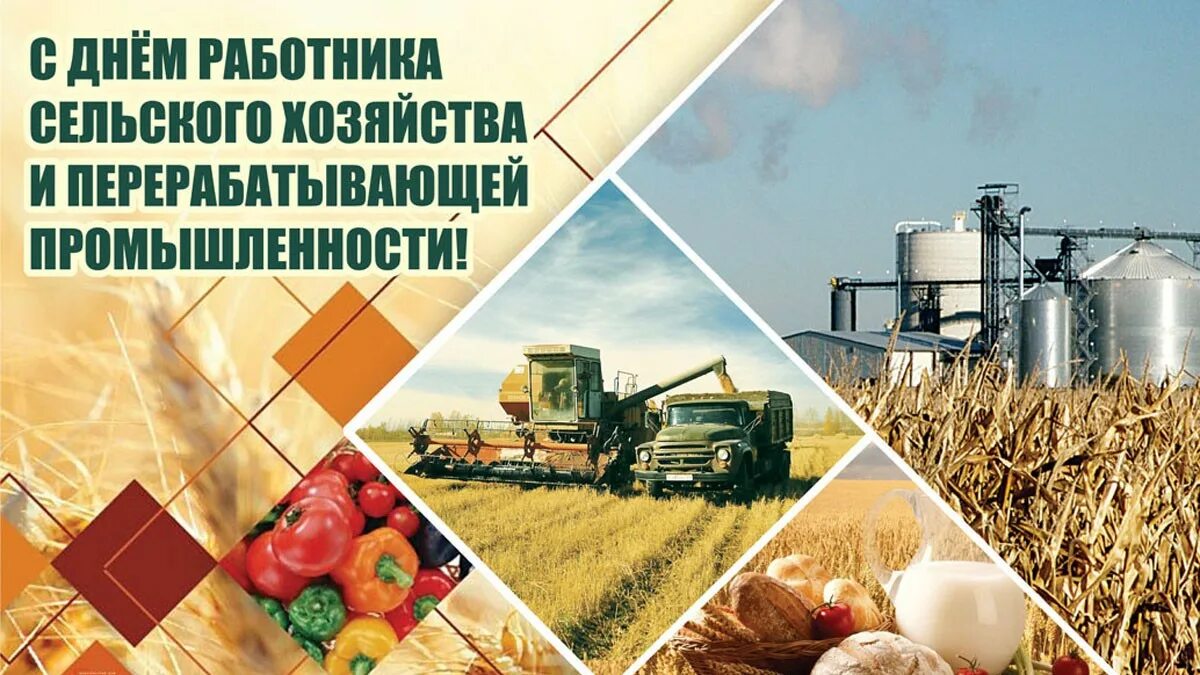 День работника сельского хо. С днем работника сельского хозяйства и перерабатывающей. Поздравление с днем сельского хозяйства. Открытки с днем сельского хозяйства. Открытки с днем сельского хозяйства.