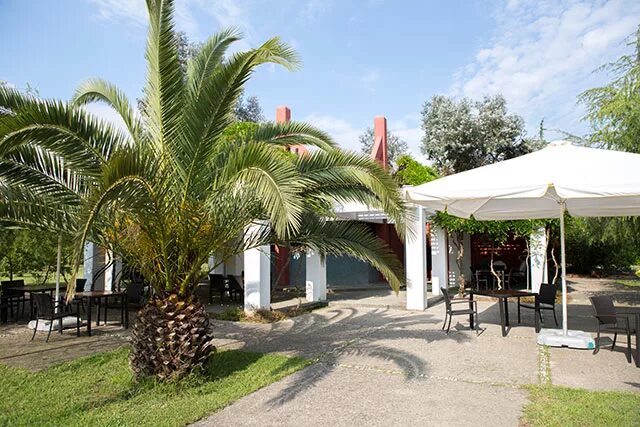 пансионат самшитовая роща пицунда. самшитовая роща абхазия пицунда. самшитовая роща абхазия пицунда. санаторий самшитовая роща абхазия. самшитовая роща 4 абхазия пицунда.