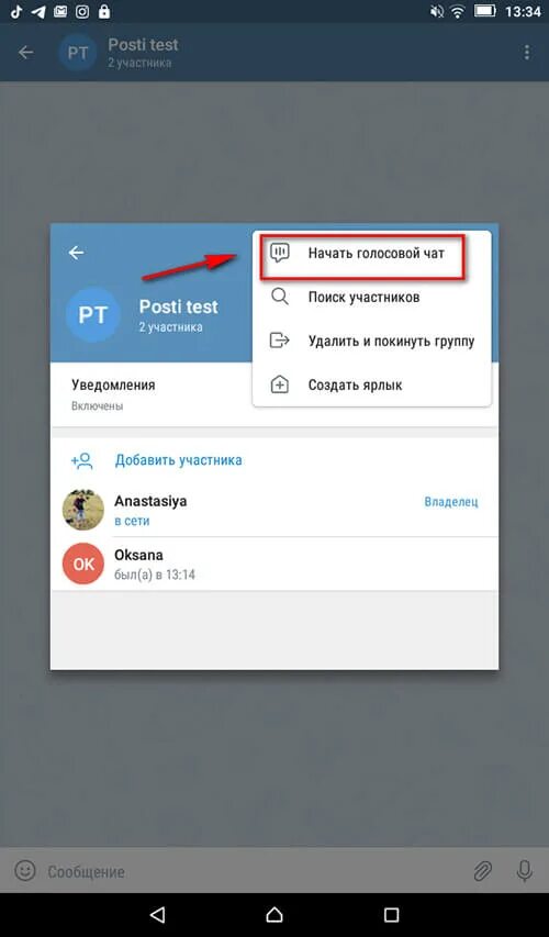 Голосовой чат на телефоне. Голосовой чат. Голосовой чат телеграм. Как создать голосовой чат. Как начать голосовой чат в телеграм.