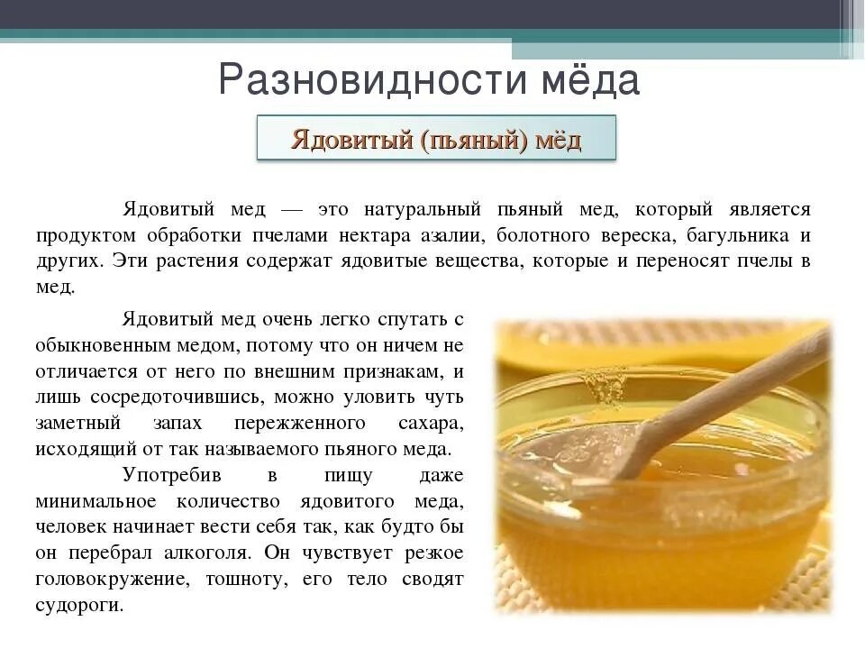 Во сне ела мед к чему. Мёд засахарился. Разновидности меда. Мед должен засахариваться. Чем полезен мед.