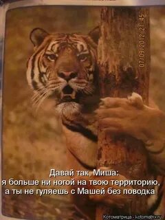 Проходите господа