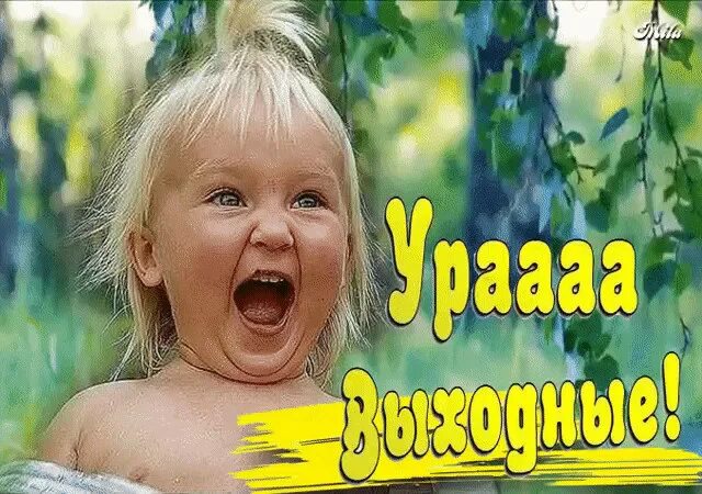 Дождалась выходных