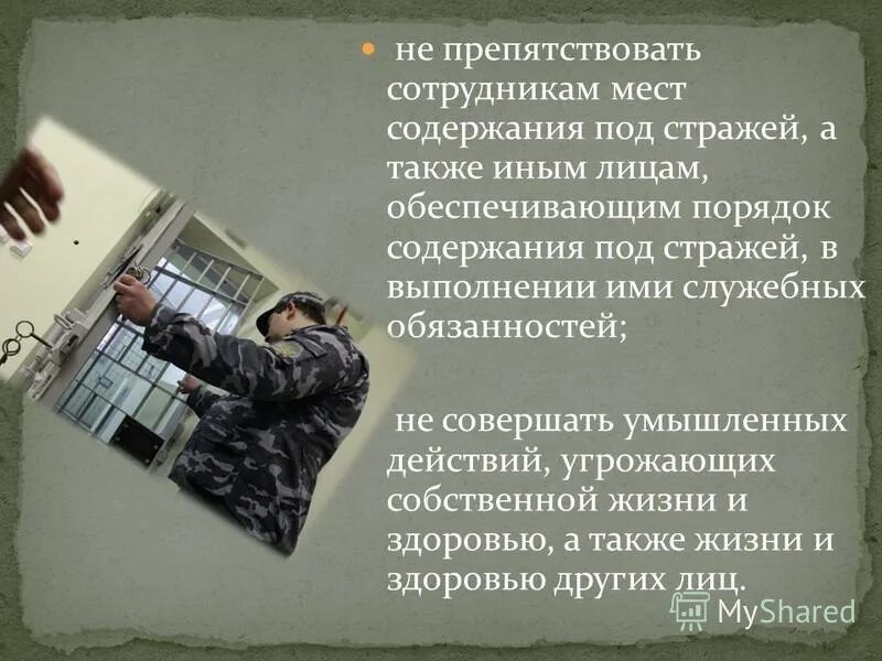 103 фз о содержании под стражей. 103 фз о содержании под стражей