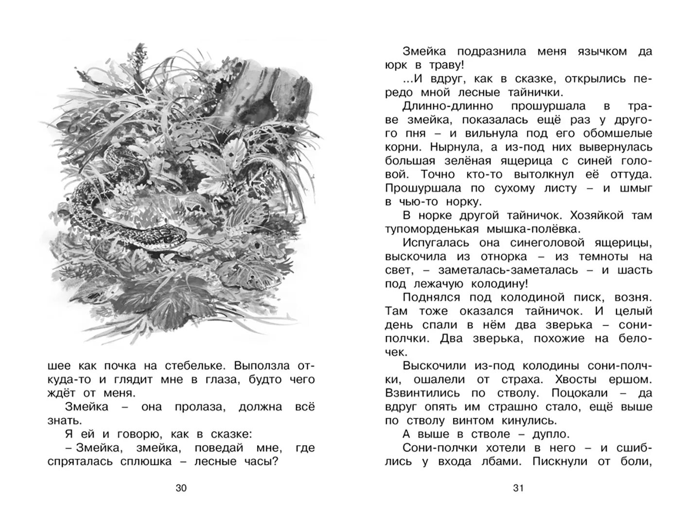 Н сладков гнездо основная мысль текста. Рассказ лесные тайнички сладков. сладков лесные тайнички книга. н. сладков &quot;лесные тайнички&quot;.
