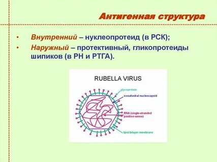 Антигенная структура