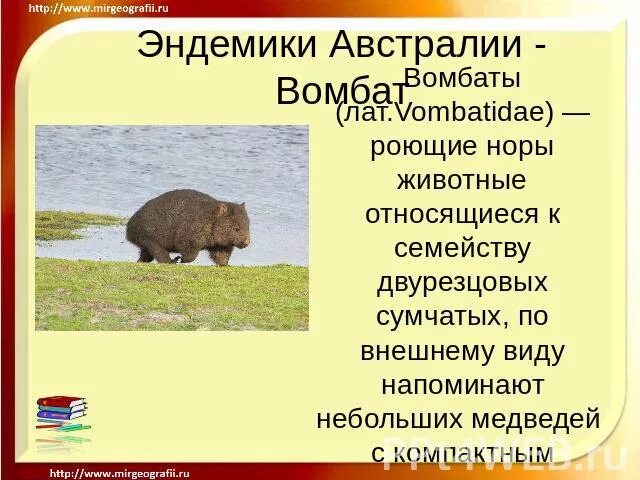 Сообщение на тему эндемики. Сообщение на тему эндемики