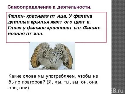 Еще и филин текст