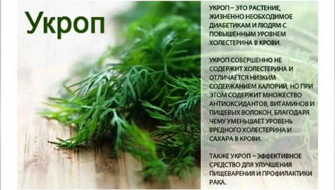 Укроп при беременности. Укроп. Чем полезен укроп. Полезная зелень. Петрушка и укроп польза.