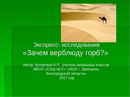 Функция горба верблюда
