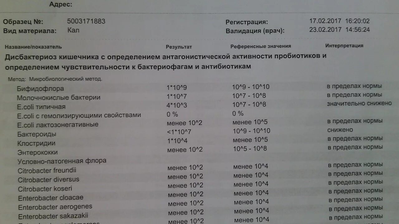 Staphylococcus aureus 10 5. Норма стафилококка в мазкк. Норма золотистого стафилококка в мазке. Стафилококк золотистый в мазке у женщин норма. Норма золотистого стафилококка в Кале у ребенка.