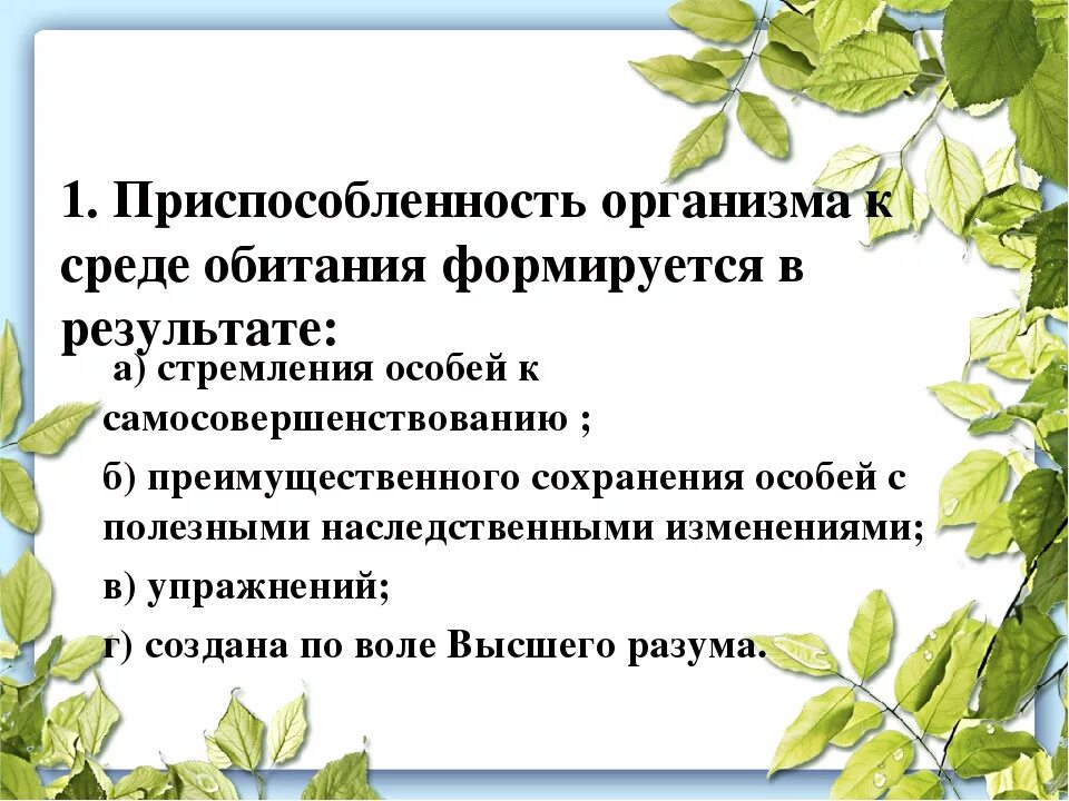 Приспособленность организмов к среде является результатом