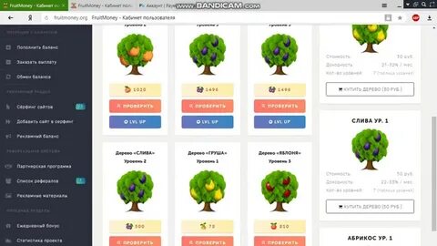 Fruit money