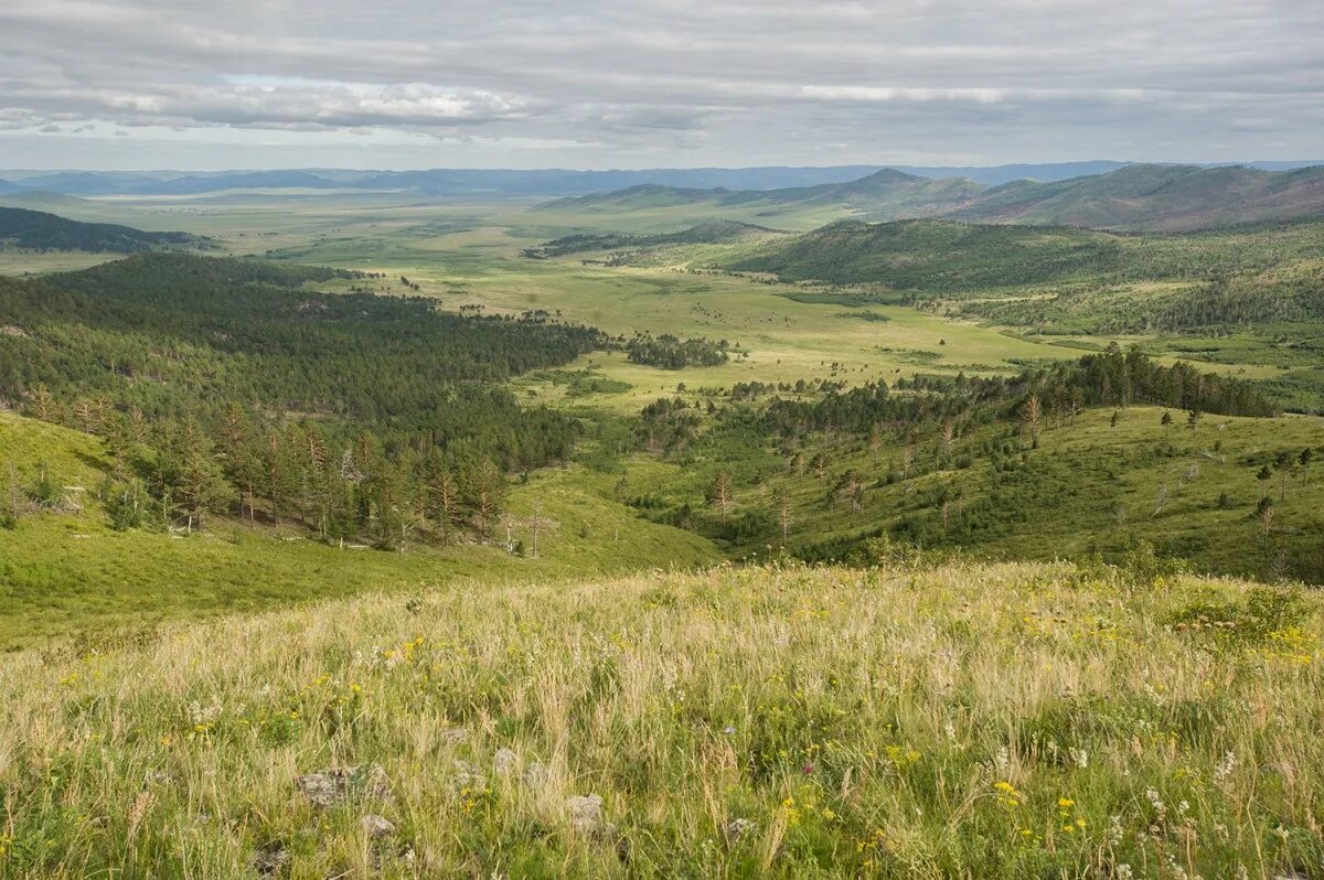 Село бырка забайкальский край. Хара бырка. бырка забайкальский край. село хара бырка забайкальский край. село передняя бырка забайкальский край.
