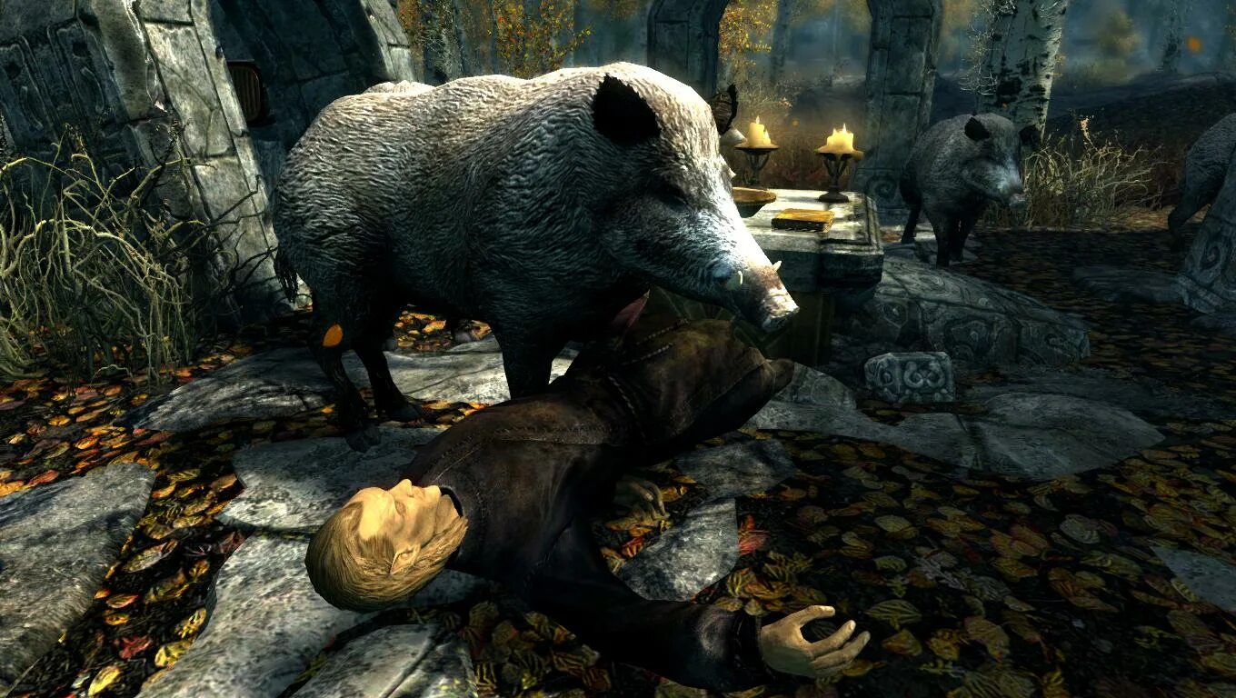 Animals skyrim