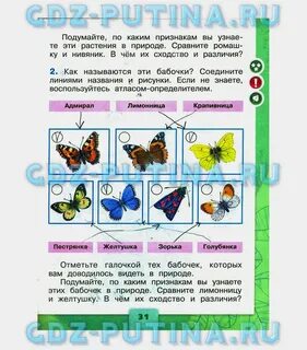 Окружающий мир рабочая тетрадь страница 57