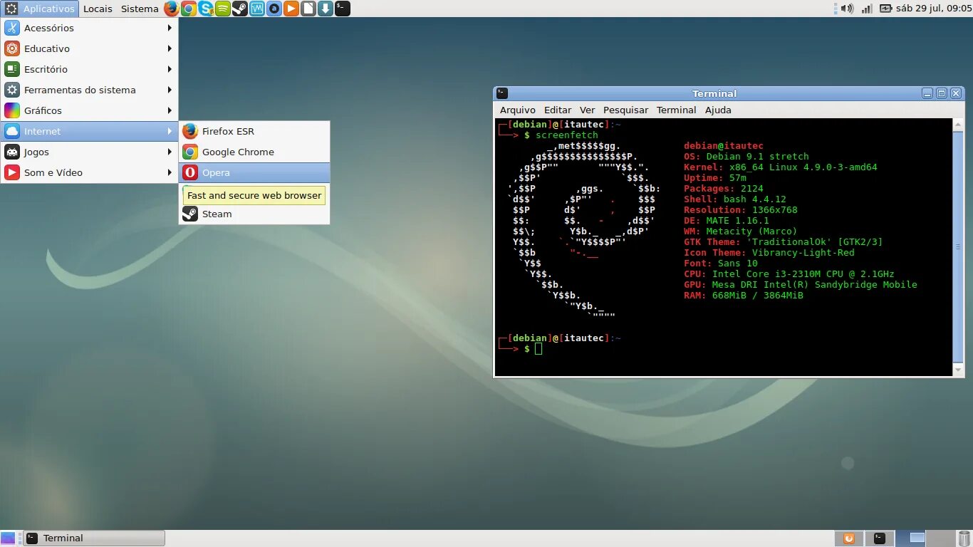 Debian найти пакет. Ядро linux. дебиан терминал. steam в дебиан. выбор локализации debian.