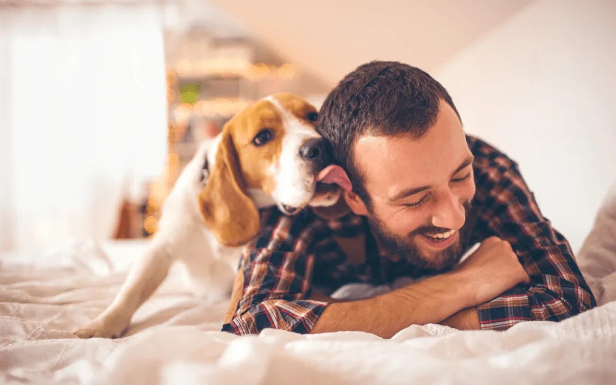 Good pets than dogs. Человек с собакой. Хозяин собаки. Домашние питомцы с хозяином. Домашняя собака с хозяином.