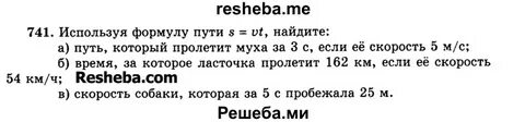 Сколько метров пролетела муха со скоростью 5