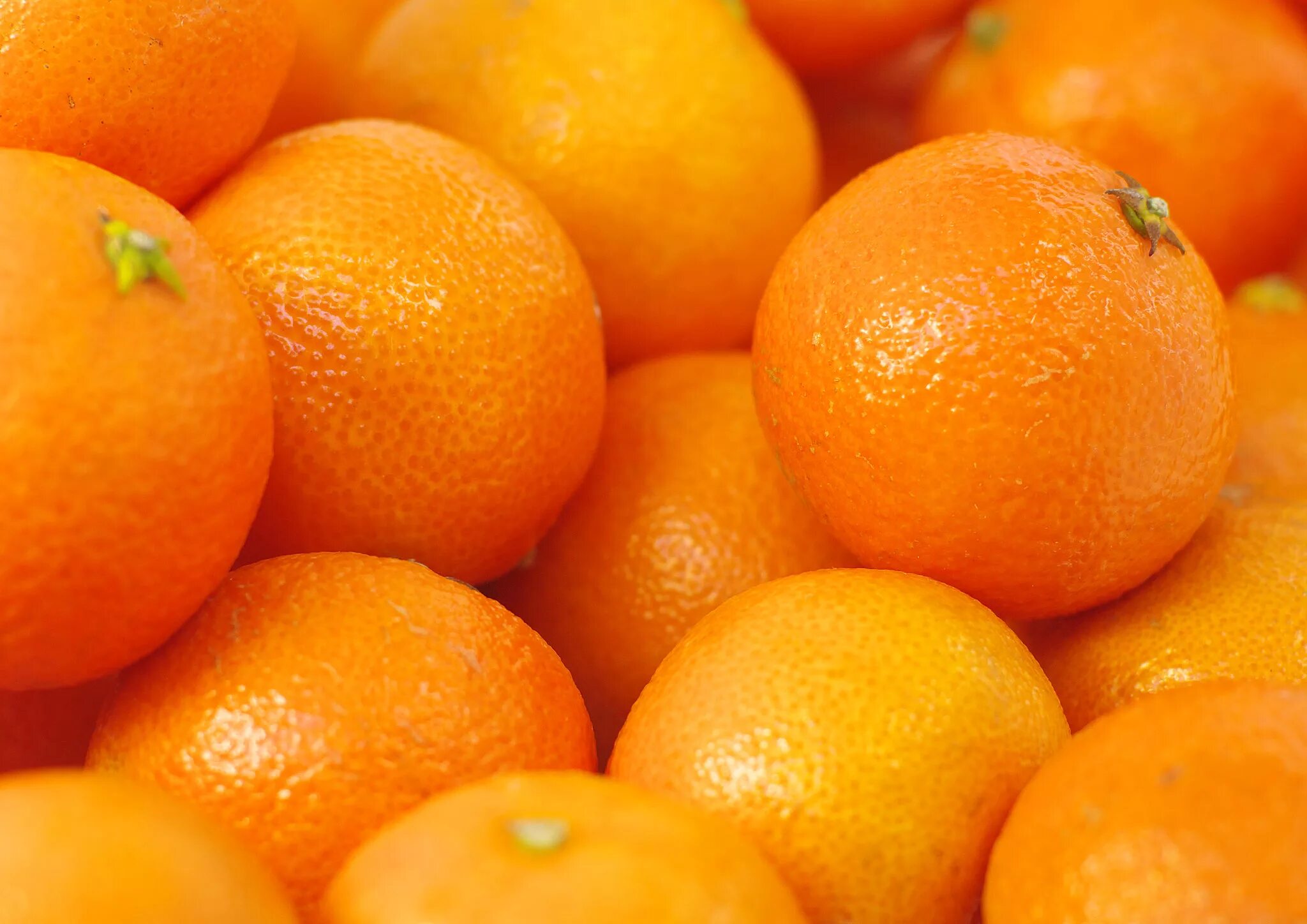 Big oranges