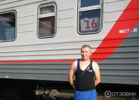 Поезд череповец адлер 2024