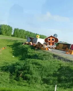 Буинск ульяновск