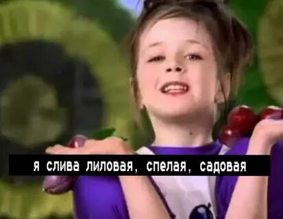 Слива лиловая спелая садовая