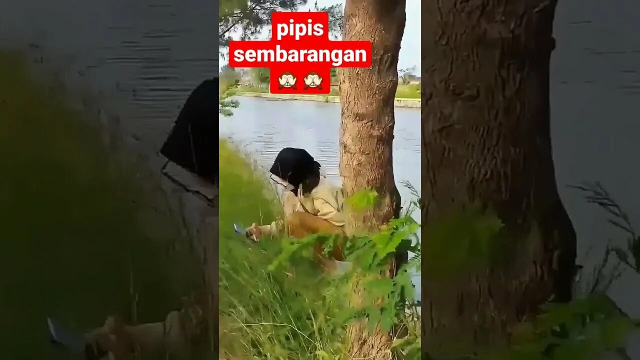 Ngintip cewek pipis. Cewek pipis. ngintip hijab lipis.