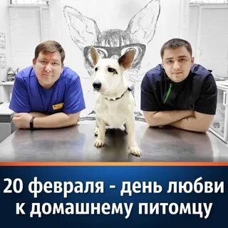 20 февраля день любви к своему питомцу