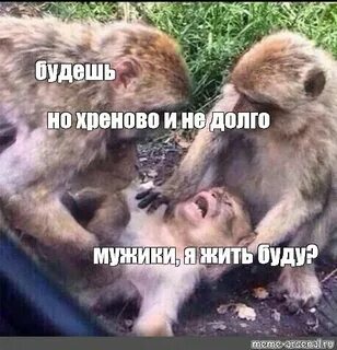 Умирающая обезьяна