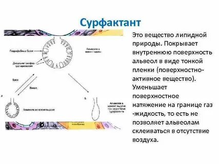 Вещество покрывающее