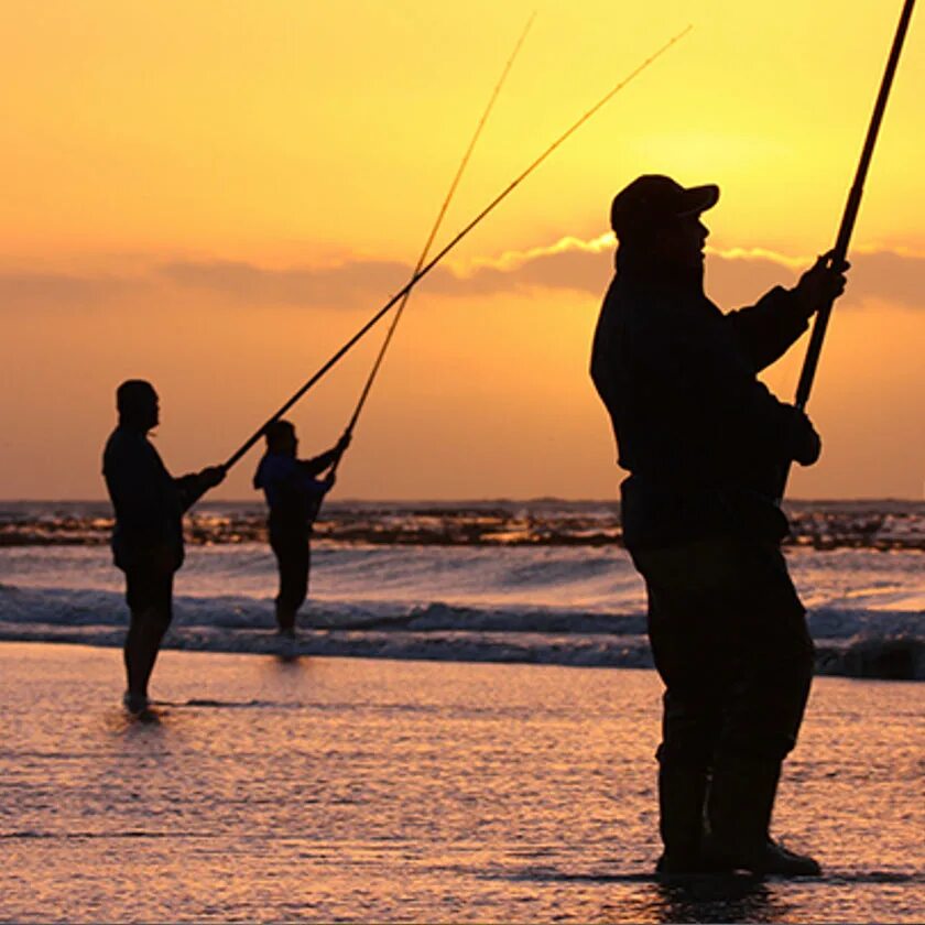 Fishing 10