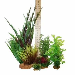 Mixed plants