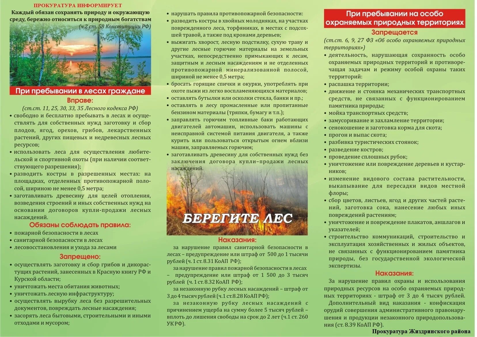 меры по охране лесов. значение леса для почвы. охрана леса. меры по сохранению леса. порядок охрана лесов.