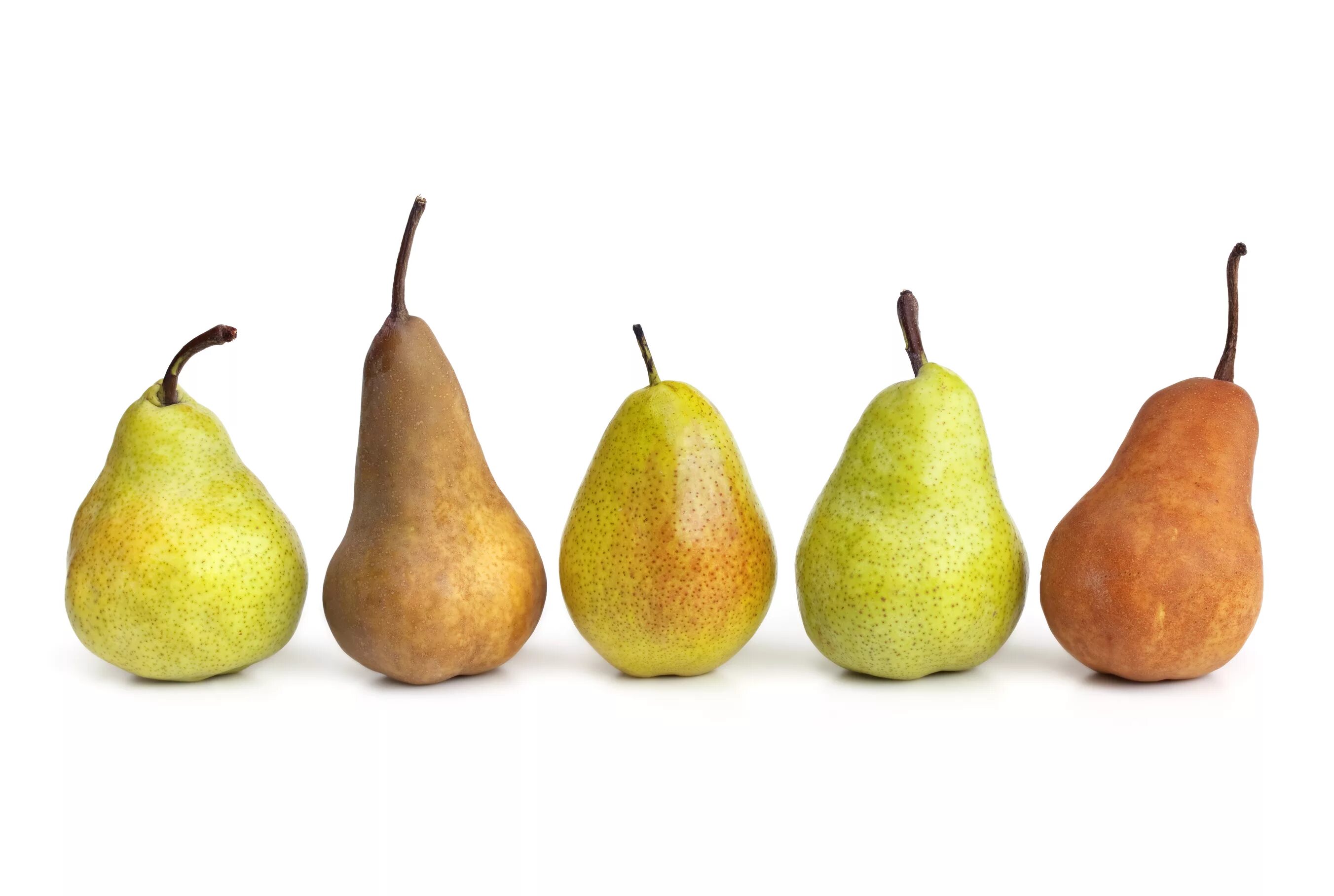 Pear 6. Груша Пакхам. Груша 10кш. Груша на белом фоне. Много груш.